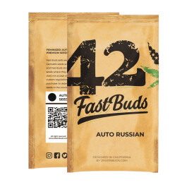 FBS10F9035 - FAST BUDS - ORIGINAL RUSSIAN AUTO | 10 SEMI