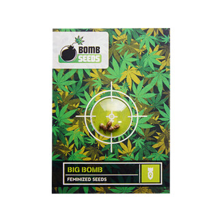 BMBSBB05F - BOMB SEEDS - BIG BOMB FEM | 5 SEMI
