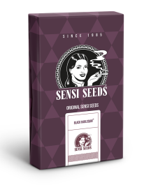 SS1560329 - SENSI SEEDS BANK - BLACK HARLEQUIN FEM | 3 SEMI Disponibili fino a fine scorte