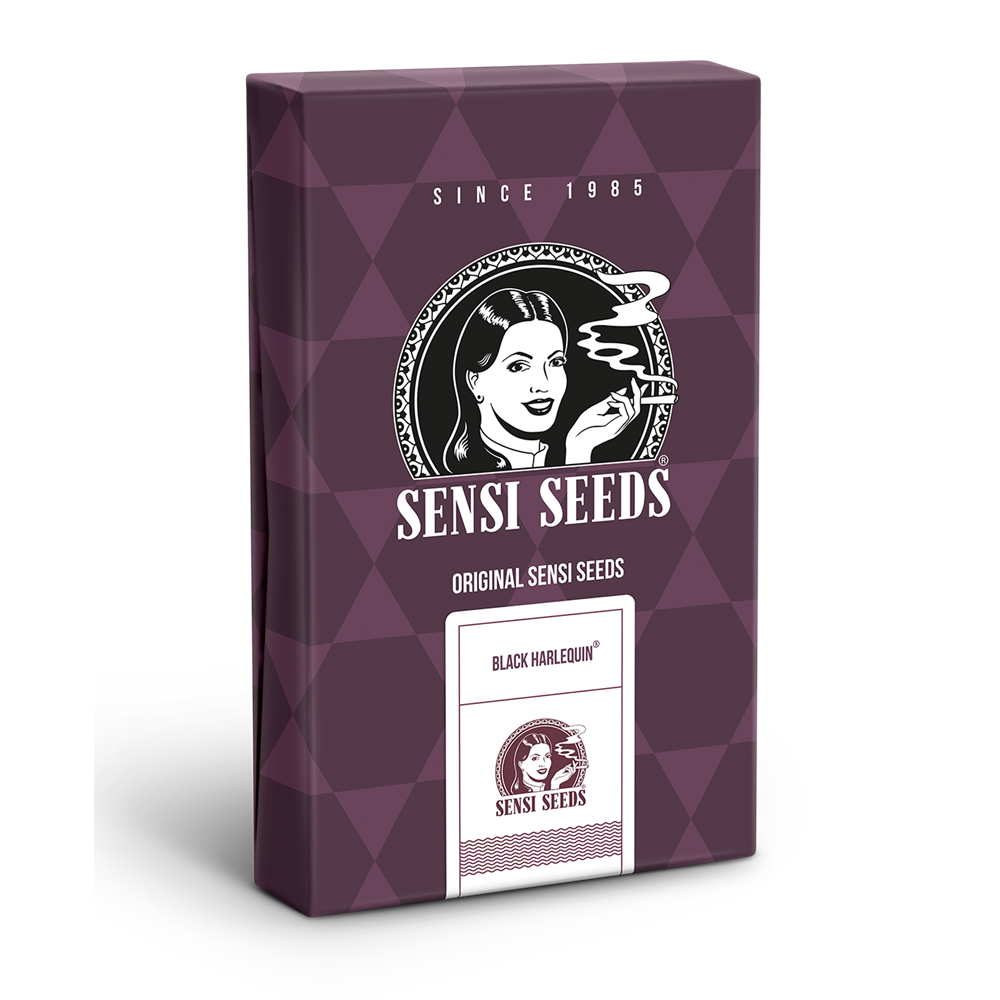 SS1560329 - SENSI SEEDS BANK - BLACK HARLEQUIN FEM | 3 SEMI Disponibili fino a fine scorte