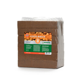 BNCB06 - BIO NOVA - COCOBRICK | 24 MATTONI