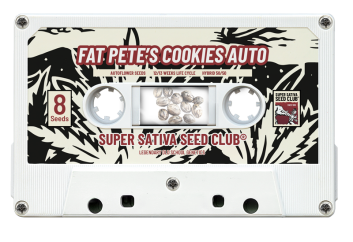 SSSC161002 - SUPER SATIVA SEED CLUB - FAT PETE'S COOKIES AUTO FEM | 8 SEMI Disponibili fino a fine scorte