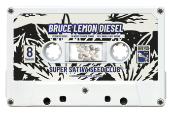 SSSC190502 - SUPER SATIVA SEED CLUB - BRUCE LEMON DIESEL FEM | 5 SEMI