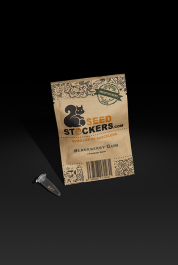 SSTKAF0100005 - SEEDSTOCKERS - BLACKBERRY GUM AUTO FEM (SUPERIOR) | 100 SEMI