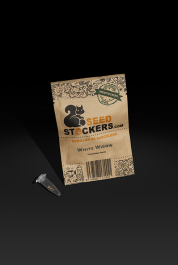 SSTKAF0100008 - SEEDSTOCKERS - WHITE WIDOW AUTO FEM | 100 SEMI