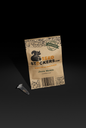 SSTKAF0003044 - SEEDSTOCKERS - JACK HERER AUTO FEM | 3 SEMI