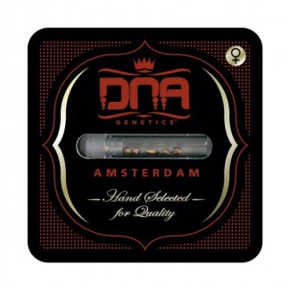 DNAFEM621 - DNA GENETICS - CATARACT CAKE FEM | 6 SEMI