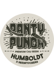 SSTKHF0001066 - SEEDSTOCKERS - PANTY PUNCH FEM (SUPERIOR) | 1 SEME