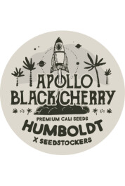 SSTKHF0025058 - SEEDSTOCKERS - APOLLO BLACK CHERRY AUTO FEM (SUPERIOR) | 25 SEMI