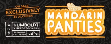 SSTKHF0005070 - SEEDSTOCKERS - MANDARIN PANTIES AUTO FEM (SUPERIOR) | 5 SEMI