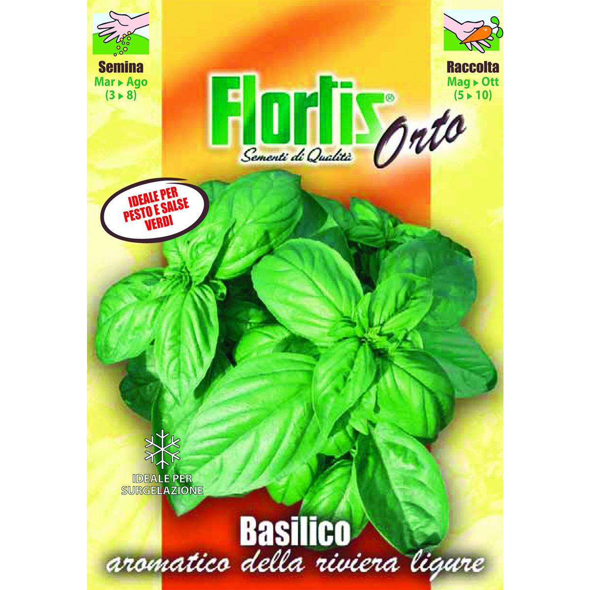 4355025 - FLORTIS | BASILICO AROMATICO LIGURE