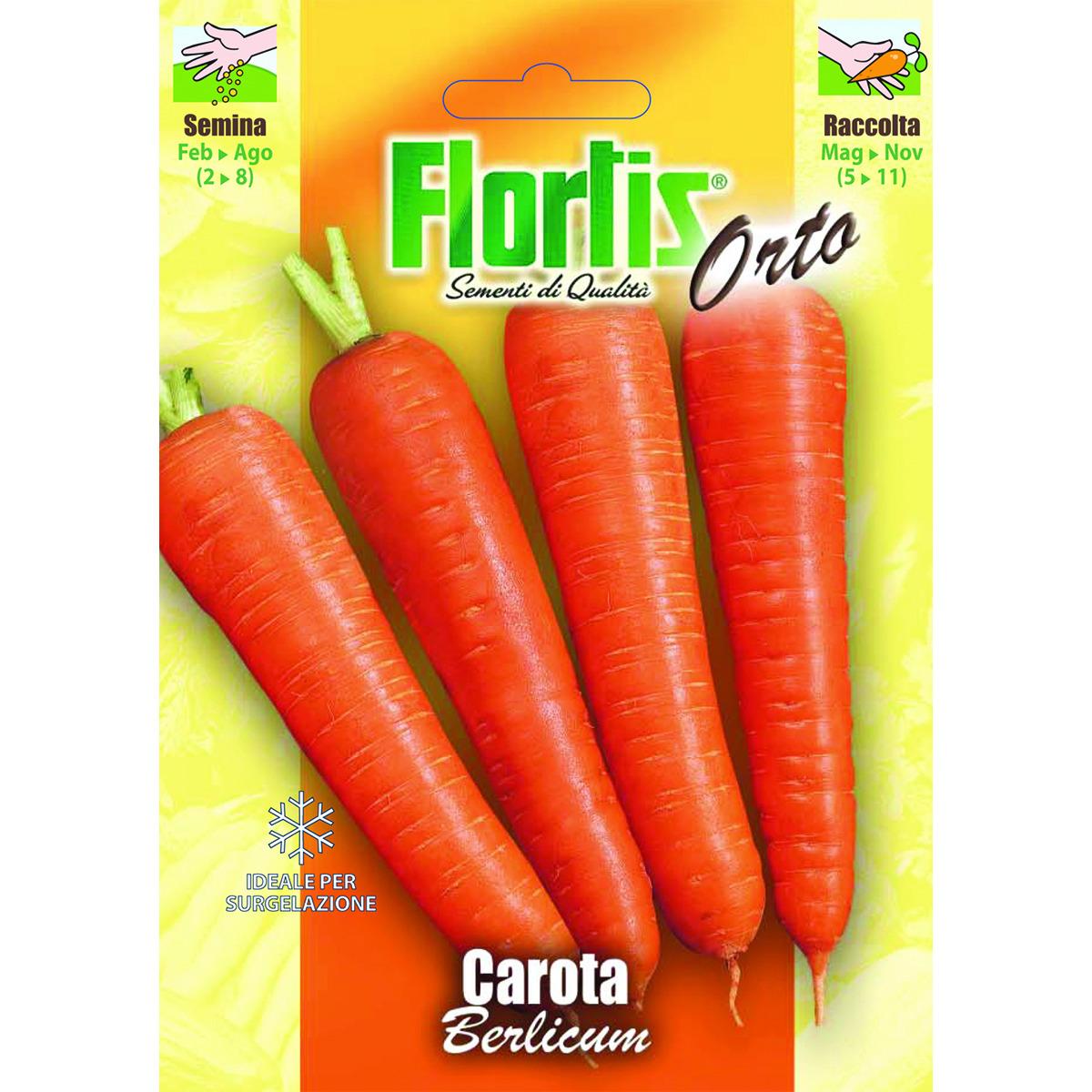 4355055 - FLORTIS | CAROTA BERLICUM