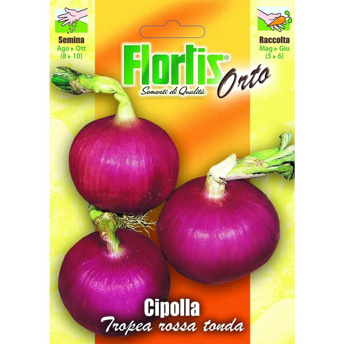 4355174 - FLORTIS | CIPOLLA TROPEA ROSSA