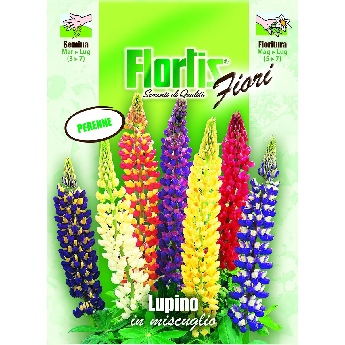 4351110 - FLORTIS | LUPINO MIX