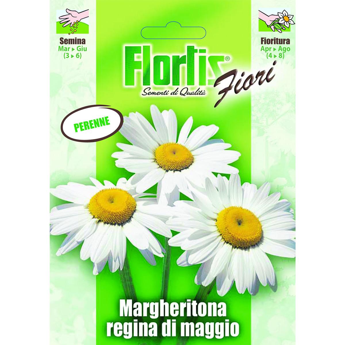 4351115 - FLORTIS | MARGHERITONA REGINA DI MAGGIO