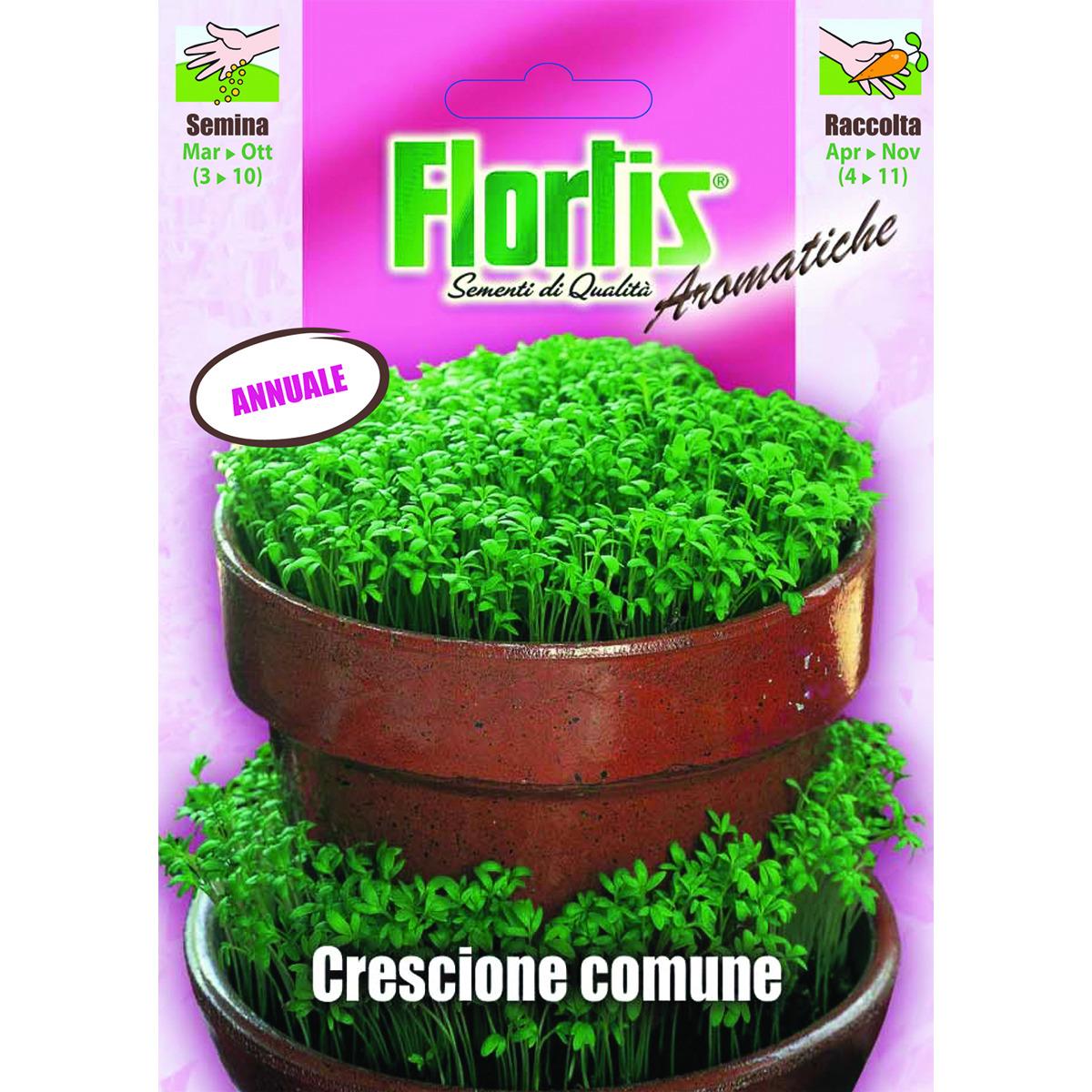 4357005 - FLORTIS | CRESCIONE COMUNE