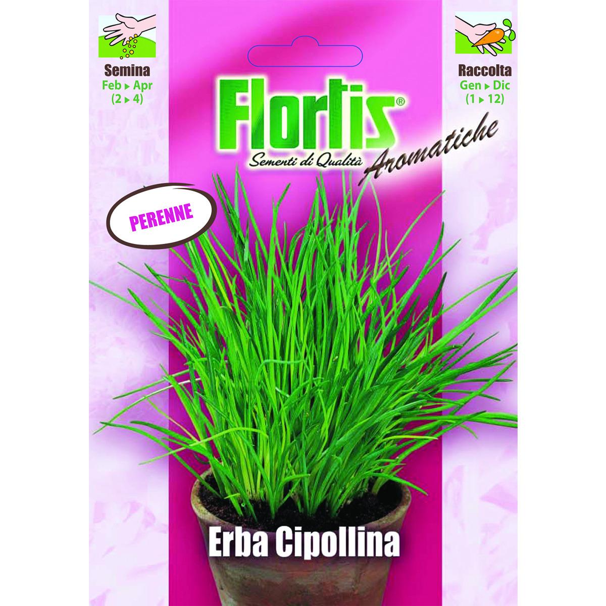 4357010 - FLORTIS | ERBA CIPOLLINA