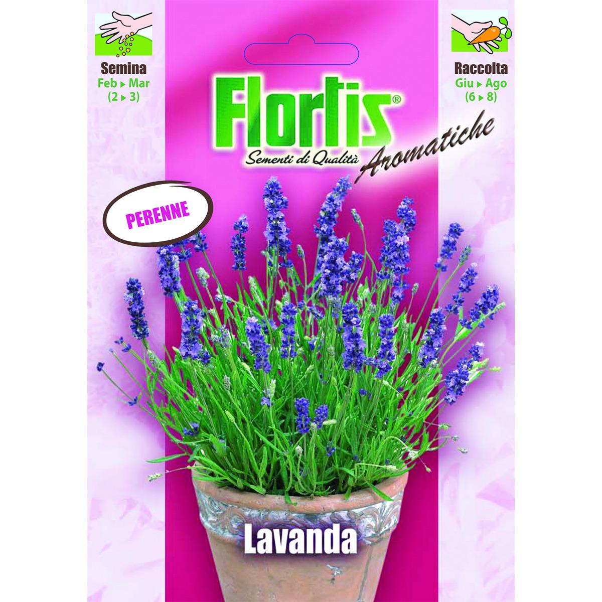 4357015 - FLORTIS | LAVANDA