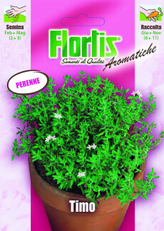4357050 - FLORTIS | TIMO