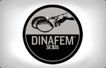 DF3184 - EARLY AMNESIA CBD 5 SEMI FEMM DINAFEM