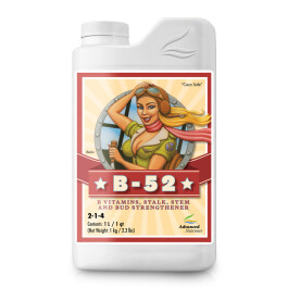 2100-14 - ADVANCED NUTRIENTS - B-52 | 1L