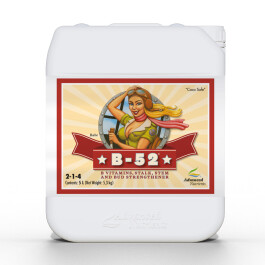 2100-20 - ADVANCED NUTRIENTS - B-52 | 5L