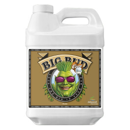 5070-13 - ADVANCED NUTRIENTS - BIG BUD COCO | 500ml