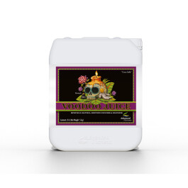 5452-20 - ADVANCED NUTRIENTS - VOODOO JUICE | 5L