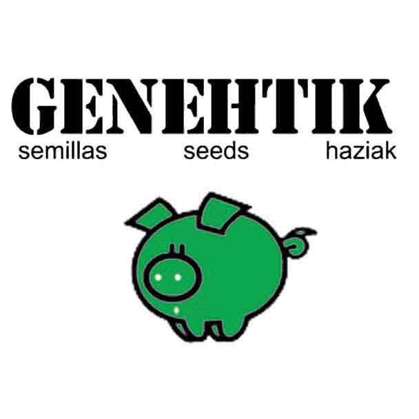GNTK001101A - GENEHTIK SEEDS - ESE T. BILBO AUTOFIORENTE FEM | 1 SEME