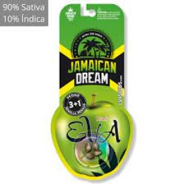 SEVF060002 - EVA SEEDS - JAMAICAN DREAM FEM | 6+2 Free SEMI