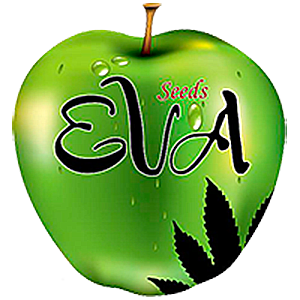 SEV4069 - EVA SEEDS - NEXUS FEM | 6 SEMI