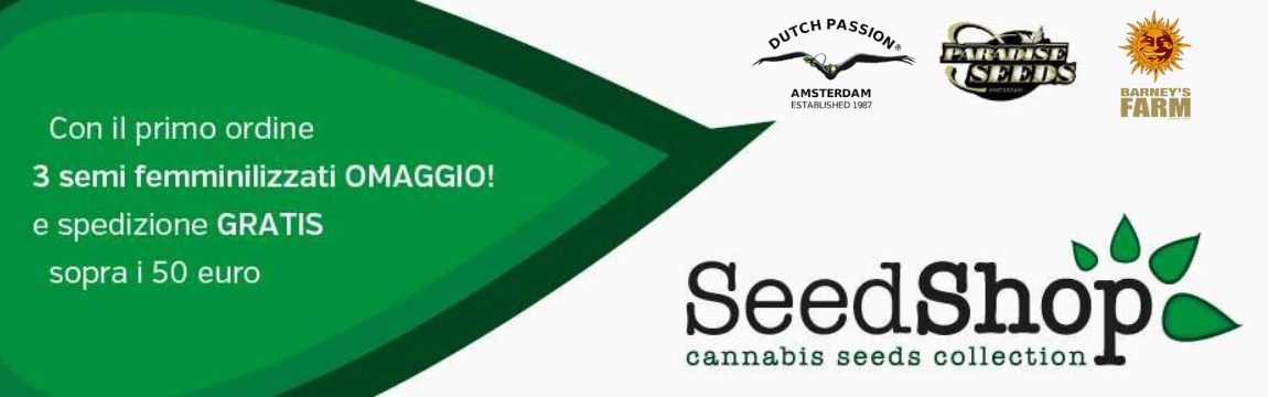 SeedShop_01
